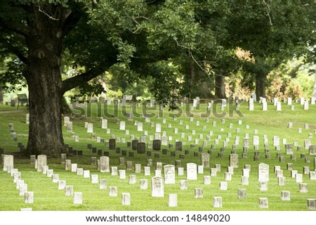 An oak tree giving shade to graves in a National Military Cemetery for the Civil War soldiers.