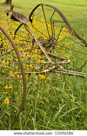 Rusty antique wheels in front of bright yellow Black-Eyed Susans in a rural scene.