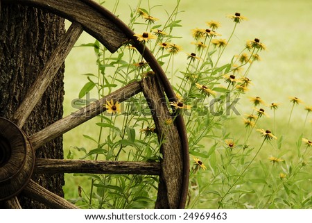 An abstract of a wagon wheel with Black-Eyed-Susans blooming around it in the morning Summer light.