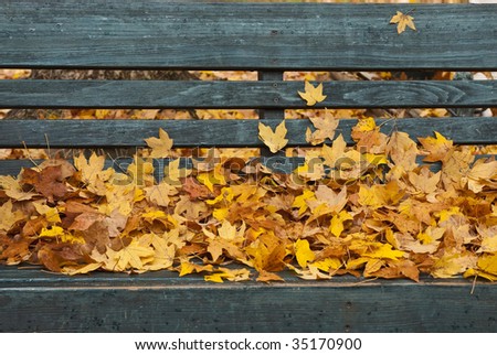 Fresh fallen Autumn leaves are stacked on a wet park bench with rain drops sticking some of them to the back.