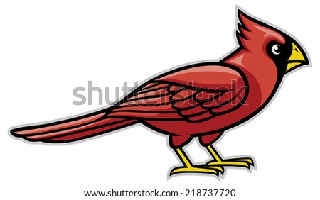 Cardinal Bird Stock Vector 218737720 : Shutterstock