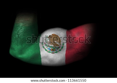Biceps of Mexico - Flag of Mexico painted on flexed biceps