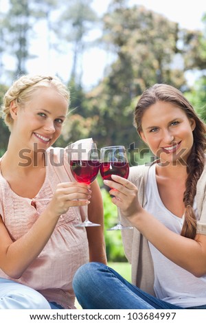 Smiling female friends clinking wine glasses