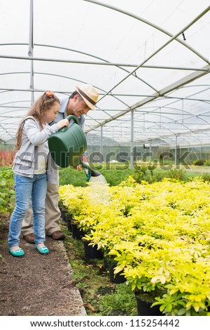Little girl watering plants with grandfather in greenhouse
