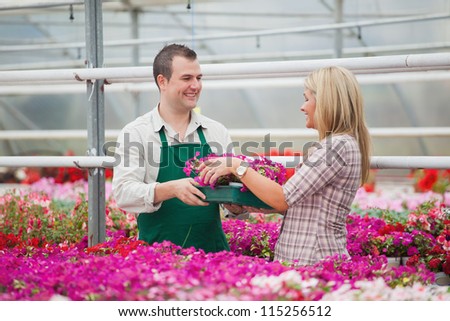 Employee in garden center giving woman tray of flowers in greenhouse