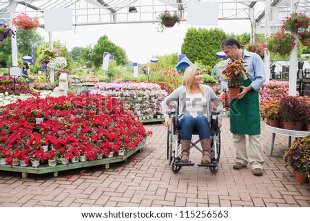 Woman in wheelchair talking to employee carrying plant in garden center