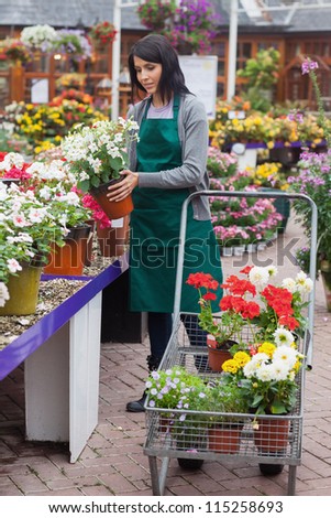 Florist putting the plants into the trolley in the garden centre