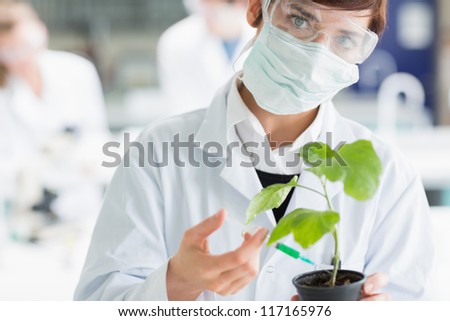 Woman holding a plant while adding green liquid to soil with syringe standing at the laboratory