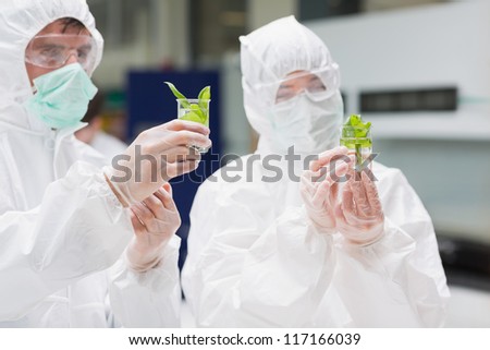 Students in protective suits looking at plants in beakers in the lab