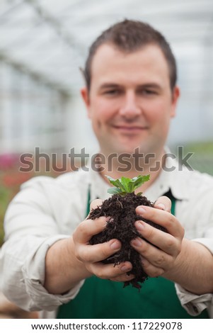 Man holding a plant with soil in his hands in greenhouse