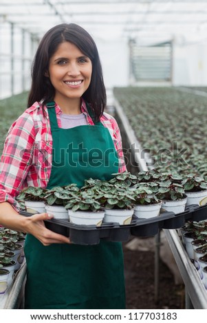 Smiling woman carrying box of plants in greenhouse nursery