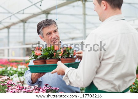 Florist giving the man tray of plants in greenhouse