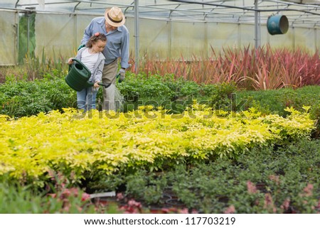 Grandfather and child watering plants in greenhouse