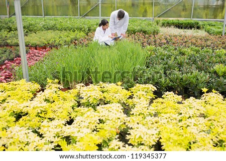 Two people in lab coats checking the plants in a greenhouse
