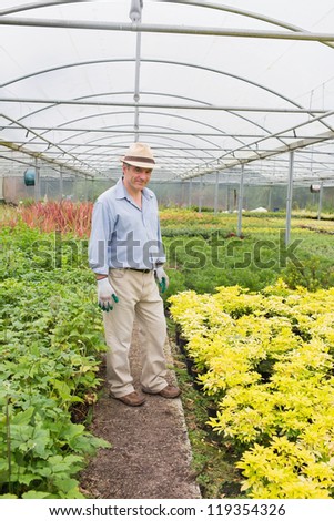 Man wearing hat and gloves in greenhouse while smiling