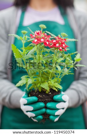 Woman working in garden center holding plant out of it pot