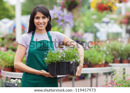 Garden center worker carrying box of flowers in garden center