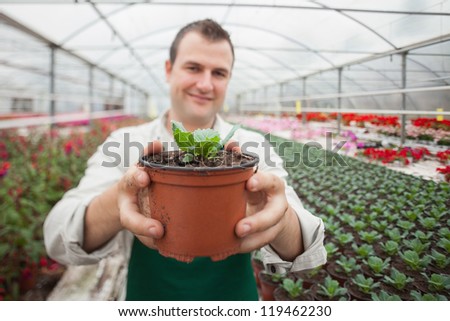 Man holding a potted plant up and smiling in greenhouse