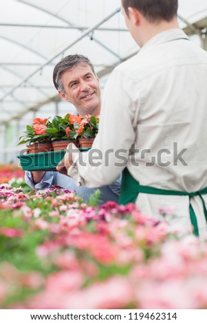 Man holding boxes of plant looking at employee in greenhouse