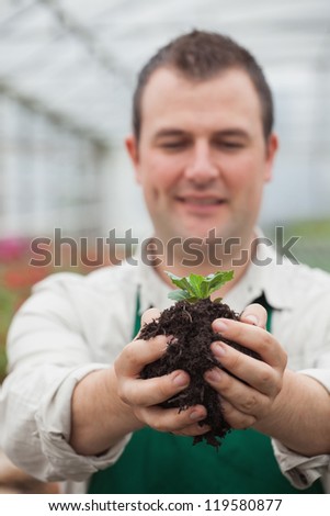 Gardener holding shrub about to plant in greenhouse