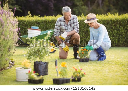 Happy senior couple gardening together in backyard