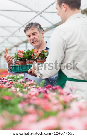 Florist holding a box of flowers and giving it to the man as he is looking at them in greenhouse