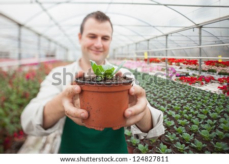 Cheerful man holding a potted plant in greenhouse nursery