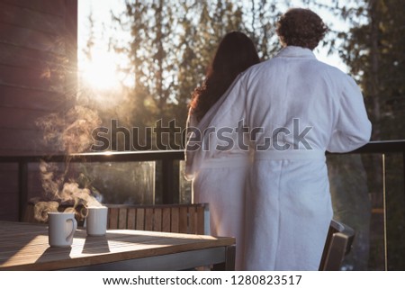 Rear view of couple looking at view from balcony