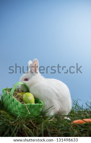 White bunny rabbit sitting on grass with basket of eggs on blue background