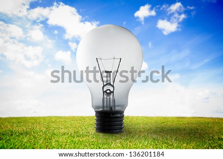 Big light bulb on the grass
