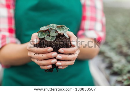 Female garden center employee holding plant
