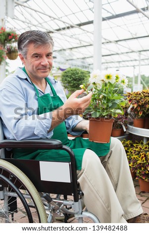 Garden center worker in wheelchair holding potted plant in greenhouse of garden center
