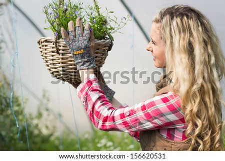 Happy woman fixing a hanging flower basket in a green house