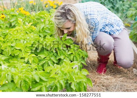 Beautiful woman working in the garden wearing check shirt and wellington boots