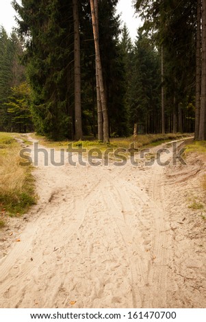 Narrow dirt road leading to two different track along trees in the forest
