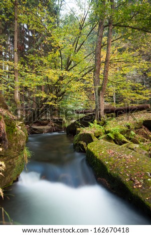 Scenic shot of rapids flowing along lush forest