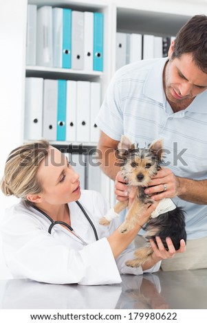 Male owner with puppy visiting female vet in clinic