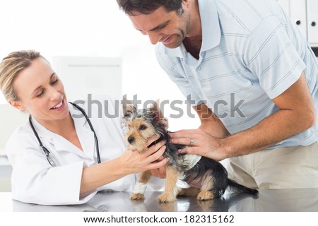 Female vet examining puppy with man in hospital