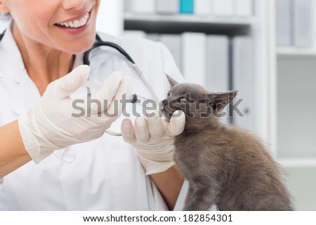 Female vet giving a cat medicine through mouth in clinic