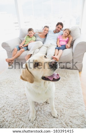 Happy family sitting on couch with their pet yellow labrador on the rug at home in the living room