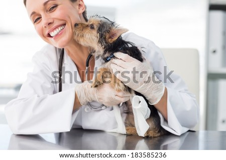 Cute puppy kissing female vet in clinic