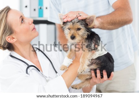Male owner with puppy visiting female veterinarian in clinic