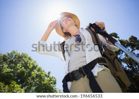 Fit woman standing with hiking pole in park on a sunny day
