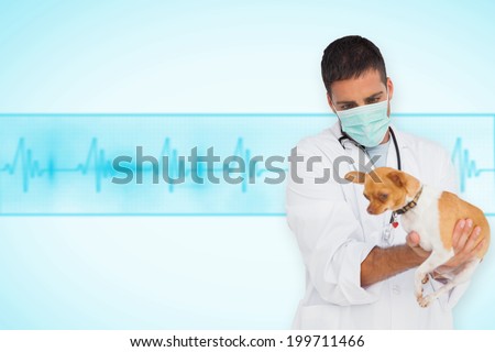 Vet in protective mask checking chihuahua against medical background with blue ecg line