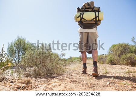 Handsome hiker walking in the countryside on a sunny day