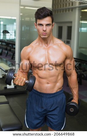 Shirtless young muscular man exercising with dumbbells in gym