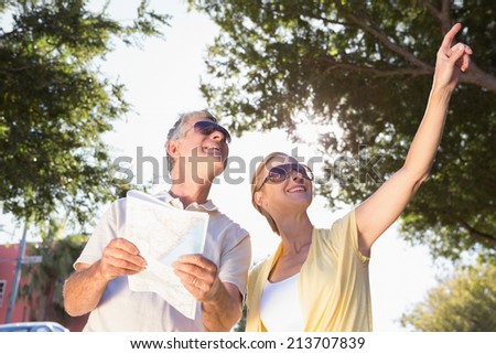 Happy senior couple using the map and looking on a sunny day