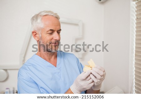 Dentist in blue scrubs looking at mouth model at the dental clinic