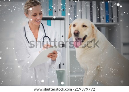 Composite image of veterinarian writing prescription for dog against snow