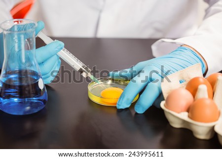 Food scientist injecting an egg yolk in petri dish at the university